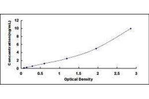 ELISA image for Interleukin 1 Receptor, Type II (IL1R2) ELISA Kit (ABIN3161774) (IL1R2 ELISA Kit)