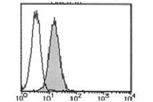 Flow Cytometry (FACS) image for anti-Bone Marrow Stromal Cell Antigen 1 (BST1) antibody (FITC) (ABIN1105912) (BST1 antibody  (FITC))