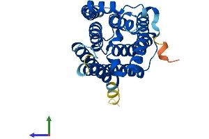 AlphaFold protein structure predicition of Mouse Recombinant Elovl6 Protein, UniprotID Q920L5 (ELOVL6 Protein (AA 1-267) (His tag))