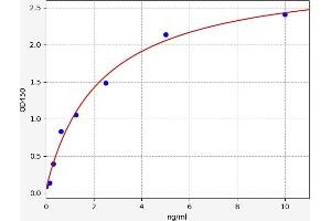 Arylsulfatase A ELISA Kit