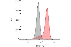 Surface staining of human peripheral blood monocytes with anti-CD205 (HD30) PE. (LY75/DEC-205 antibody  (PE))