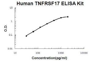 Human TNFRSF17/BCMA PicoKine ELISA Kit standard curve