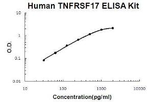 Human TNFRSF17/BCMA PicoKine ELISA Kit standard curve (BCMA ELISA Kit)