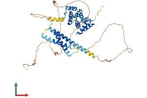 Protein Structure (PS) image for Target of Myb1 (Chicken)-Like 1 (TOM1L1) (AA 1-476) protein (His tag) (ABIN7544639)