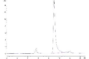 The purity of Cynomolgus APRIL Trimer is greater than 95 % as determined by SEC-HPLC. (TNFSF13 Protein (AA 112-250, Trimer) (His-Avi-DYKDDDDK Tag))