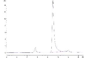 The purity of Cynomolgus APRIL Trimer is greater than 95 % as determined by SEC-HPLC. (TNFSF13 Protein (Trimer) (His-Avi-DYKDDDDK Tag))