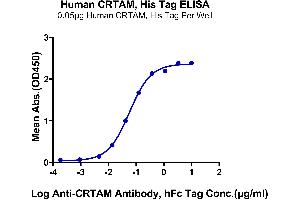 Immobilized Human CRTAM, His Tag at 0. (CRTAM Protein (AA 18-287) (His tag))