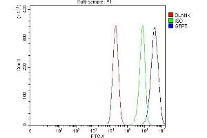 Flow Cytometry analysis of Caco-2 cells using anti-GFPT1 antibody (ABIN7602887).