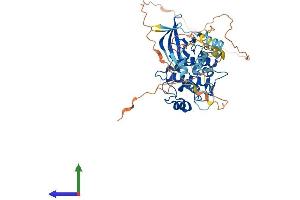Protein Structure (PS) image for Calcium/calmodulin-Dependent Protein Kinase Kinase 1, alpha (CAMKK1) (AA 1-505) protein (His tag) (ABIN7548787)