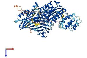 Protein Structure (PS) image for Von Willebrand Factor A Domain Containing 5A (VWA5A) (AA 1-786) protein (His tag) (ABIN7545160)
