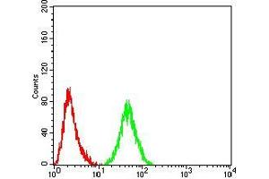 Flow cytometric analysis of Hela cells using PELP1 mouse mAb (green) and negative control (red). (PELP1 antibody  (AA 1031-1180))