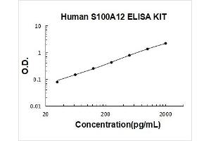 Human S100A12 PicoKine ELISA Kit standard curve