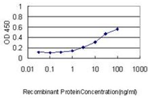 Detection limit for recombinant GST tagged YBX1 is approximately 0. (YBX1 antibody  (AA 51-139))