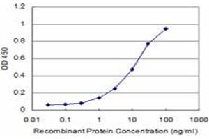 Detection limit for recombinant GST tagged PROX1 is approximately 1ng/ml as a capture antibody. (PROX1 antibody  (AA 638-737))