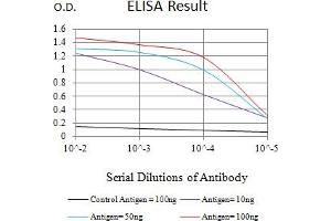 Black line: Control Antigen (100 ng),Purple line: Antigen (10 ng), Blue line: Antigen (50 ng), Red line:Antigen (100 ng) (HLA-B antibody  (AA 209-295))