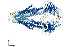 AlphaFold protein structure predicition of Mouse Recombinant Abcb5 Protein, UniprotID B5X0E4 (ABCB5 Protein (AA 1-1255) (His tag))