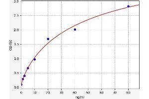 Typical standard curve (MAPK14 ELISA Kit)