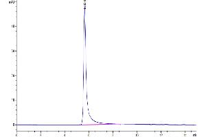 Size-exclusion chromatography-High Pressure Liquid Chromatography (SEC-HPLC) image for G Protein-Coupled Receptor, Family C, Group 5, Member D (GPRC5D) (AA 1-344) (Active) protein-VLP (ABIN7448171)
