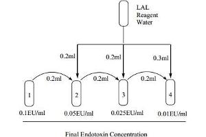 Image no. 1 for ToxinSensor Chromogenic LAL Endotoxin Assay Kit (ABIN491527)