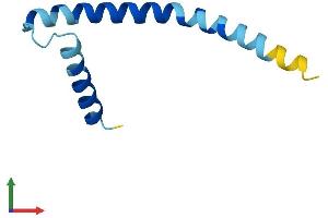 AlphaFold protein structure predicition of Human Recombinant SPTSSB Protein, UniprotID Q8NFR3