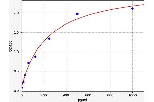 RXFP1 ELISA Kit