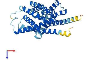 AlphaFold protein structure predicition of Mouse Recombinant Slc35e3 Protein, UniprotID Q6PGC7 (Solute Carrier Family 35, Member E3 (SLC35E3) (AA 1-313) protein (His tag))