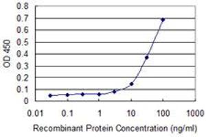 Detection limit for recombinant GST tagged PCAF is approximately 10ng/ml as a capture antibody. (KAT2B antibody  (AA 353-452))