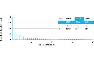 Protein Array (PAr) image for anti-Regulator of G-Protein Signaling 5 (RGS5) antibody (ABIN7455974) (RGS5 antibody)