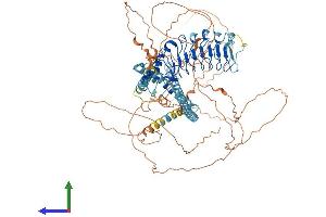 AlphaFold protein structure predicition of Human Recombinant CEP97 Protein, UniprotID Q8IW35 (CEP97 Protein (AA 1-865) (His tag))