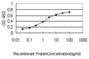 Detection limit for recombinant GST tagged KIAA0101 is approximately 0.