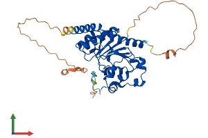 AlphaFold protein structure predicition of Human Recombinant SRRD Protein, UniprotID Q9UH36
