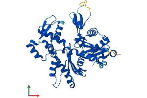 AlphaFold protein structure predicition of Mouse Recombinant Actbl2 Protein, UniprotID Q8BFZ3