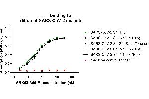 S1 Protein of different corona strain mutants (produced in Hi5 cells) were coated on an ELISA plate at 100 ng. (Recombinant SARS-CoV-2 Spike antibody  (AA 319-541))