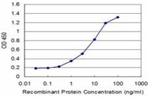 Detection limit for recombinant GST tagged XRCC2 is approximately 0. (XRCC2 antibody  (AA 1-280))