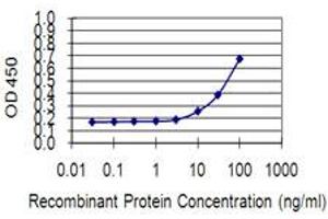 Detection limit for recombinant GST tagged KIF13B is 3 ng/ml as a capture antibody. (KIF13B antibody  (AA 1-100))