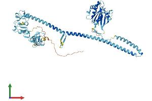 AlphaFold protein structure predicition of Mouse Recombinant Trim23 Protein, UniprotID Q8BGX0 (TRIM23 Protein (AA 1-574) (His tag))