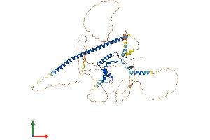 AlphaFold protein structure predicition of Human Recombinant SOX13 Protein, UniprotID Q9UN79 (SOX13 Protein (AA 1-622) (His tag))