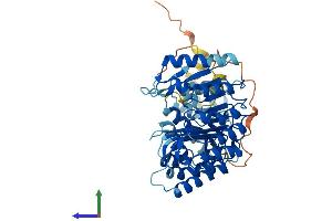 AlphaFold protein structure predicition of Human Recombinant PRAMEF4 Protein, UniprotID O60810 (PRAMEF4 Protein (AA 1-478) (His tag))