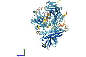 AlphaFold protein structure predicition of Mouse Recombinant Avil Protein, UniprotID O88398 (Advillin Protein (AVIL) (AA 1-819) (His tag))