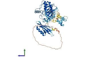 AlphaFold protein structure predicition of Human Recombinant PRKAA2 Protein, UniprotID P54646 (PRKAA2 Protein (AA 1-552) (His tag))