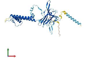 Protein Structure (PS) image for Potassium Inwardly-Rectifying Channel, Subfamily J, Member 15 (KCNJ15) (AA 1-375) protein (His tag) (ABIN7562691)