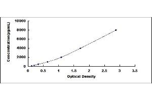 Typical standard curve (SERPINH1 ELISA Kit)