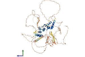 AlphaFold protein structure predicition of Human Recombinant SIX5 Protein, UniprotID Q8N196 (Six5 Protein (AA 1-739) (His tag))