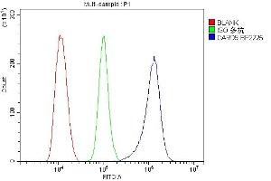 anti-Caspase Recruitment Domain Family, Member 9 (CARD9) (AA 1-429) antibody