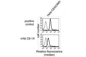 Flow Cytometry (FACS) image for anti-Carcinoembryonic Antigen-Related Cell Adhesion Molecule 1 (CEACAM1) antibody (ABIN614759) (CEACAM1 antibody)