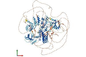 AlphaFold protein structure predicition of Human Recombinant RAPGEF2 Protein, UniprotID Q9Y4G8
