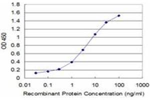 Detection limit for recombinant GST tagged PLP1 is approximately 0. (PLP1 antibody  (AA 177-232))