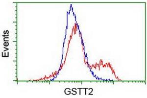 HEK293T cells transfected with either RC200040 overexpress plasmid (Red) or empty vector control plasmid (Blue) were immunostained by anti-GSTT2 antibody (ABIN2453887), and then analyzed by flow cytometry. (GSTT2 antibody)
