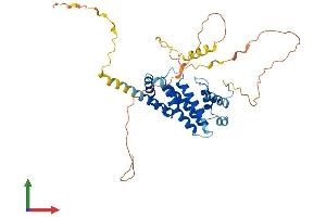 Protein Structure (PS) image for Proline Rich 5 Like (PRR5L) (AA 1-370) protein (His tag) (ABIN7561963)