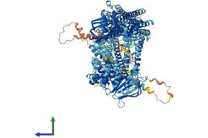 Protein Structure (PS) image for ATP-Binding Cassette, Sub-Family C (CFTR/MRP), Member 3 (ABCC3) (AA 1-1523) protein (His tag) (ABIN7562060)